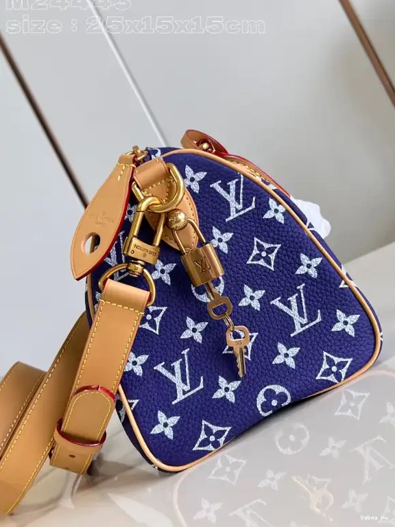 Vuitton Louis 25 SPEEDY 0524